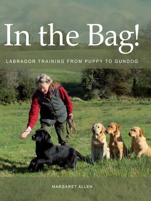 cover image of In the Bag!